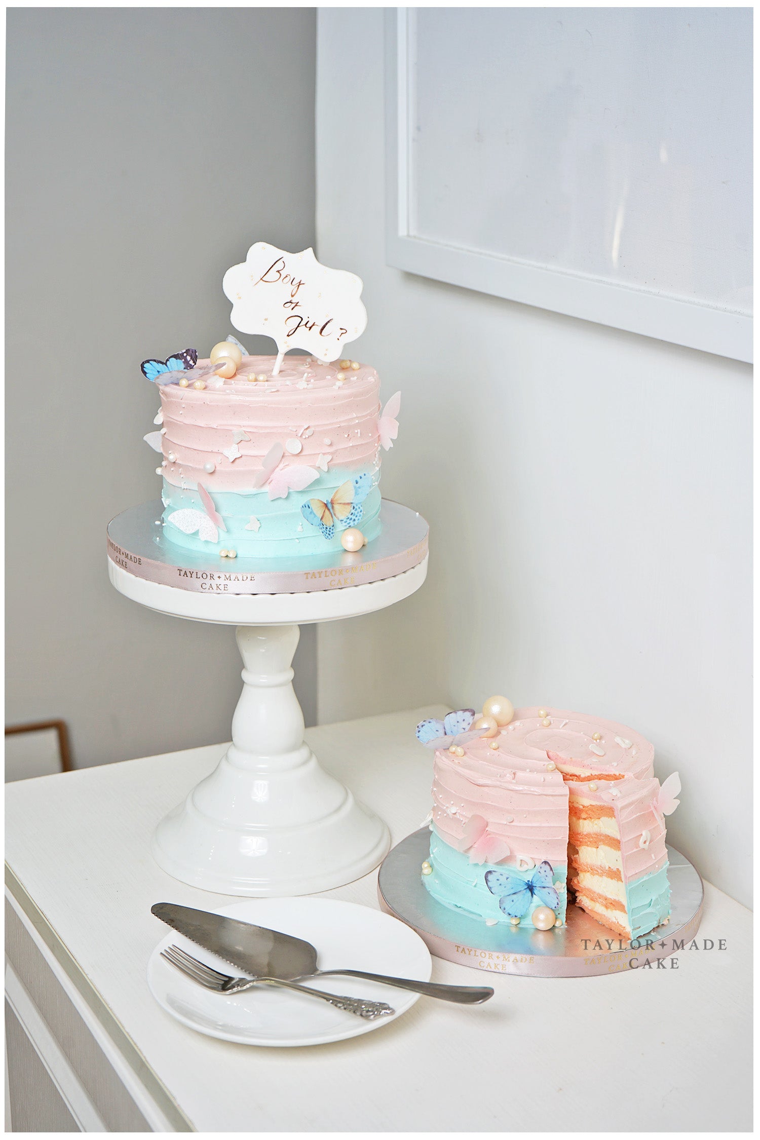 Gender Reveal Pink or Blue
