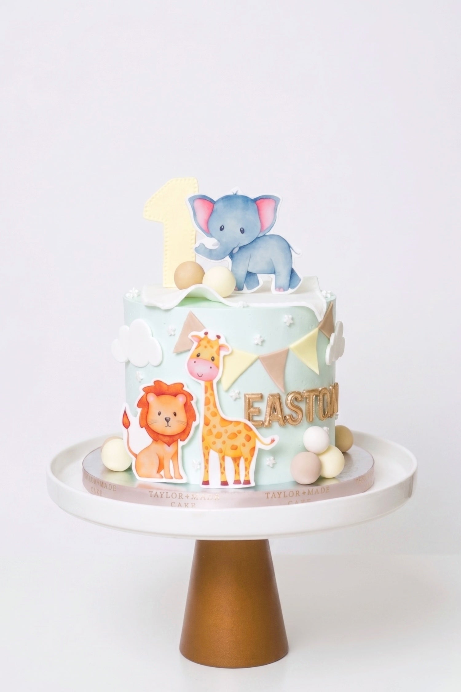 Kids Safari Cake