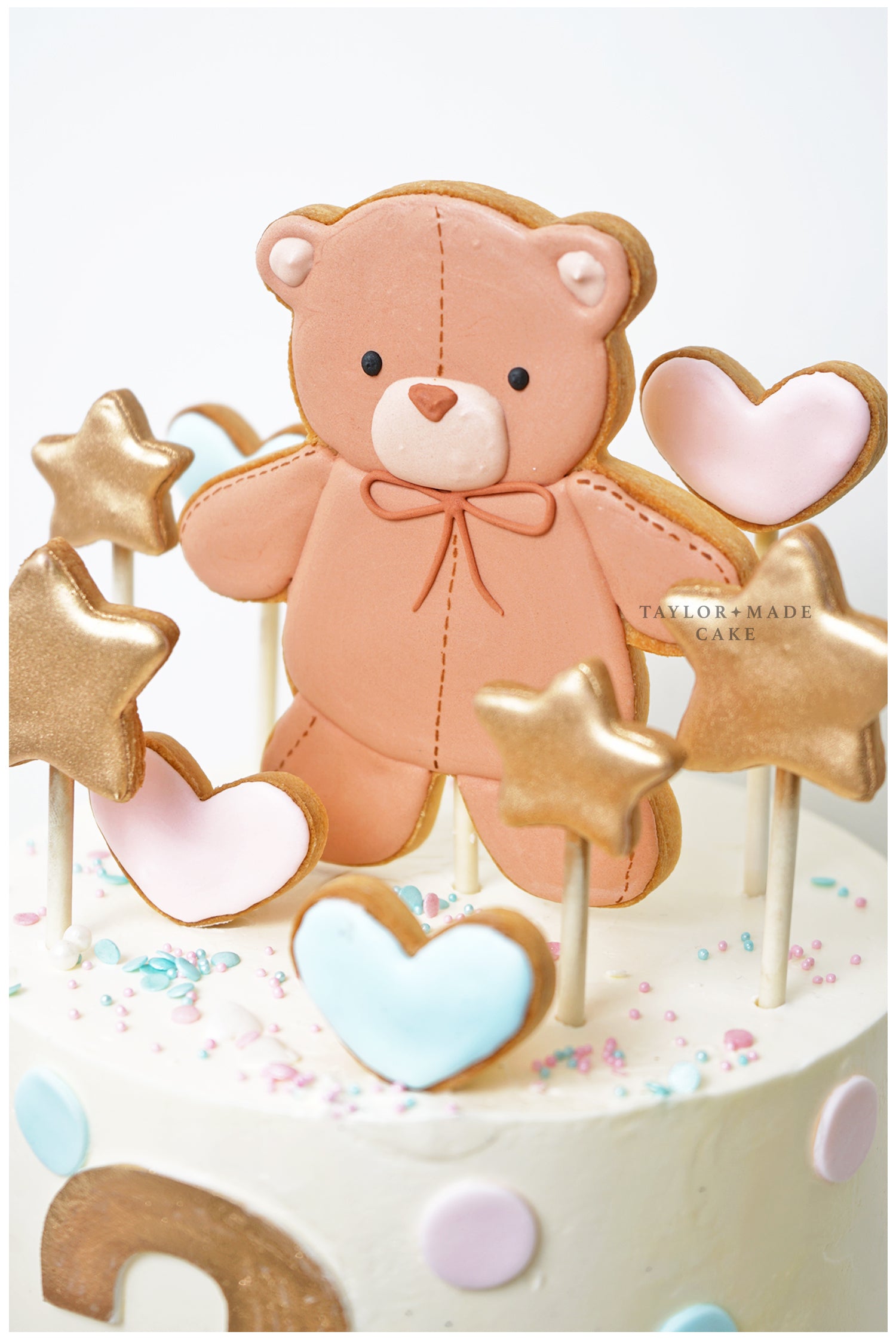 Gender Reveal Boy or Girl